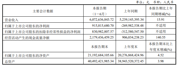 彩虹股份上半年凈利潤9.16億元，同比扭虧為盈