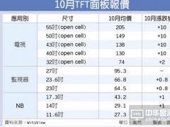 價(jià)格續(xù)揚(yáng)！ 中尺寸面板 10月大漲10美元