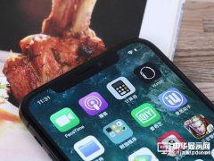 廉價(jià)iPhoneX消息曝光：蘋果看好日本LCD屏