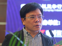 敦泰電子貢振邦：順應柔性OLED發展，提前布局卷曲OLED觸控IC