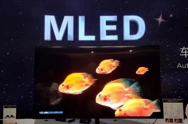 Ո̘AӋ2021ƳMini LEDҕ